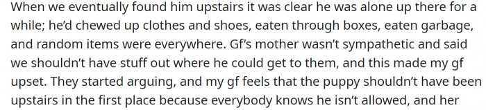 The puppy was upstairs, and there was chaos all around.