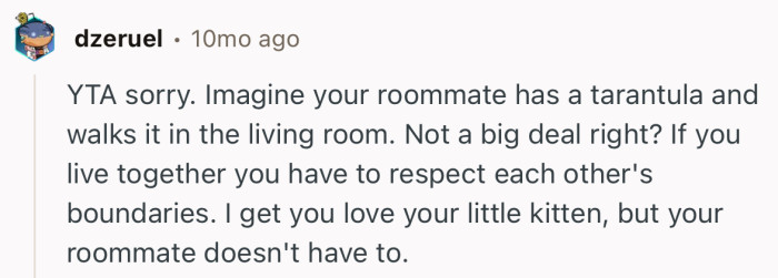 “I get you love your little kitten, but your roommate doesn't have to.”