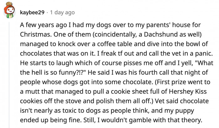 Hey, the dogs have to have fun too while the humans are celebrating. It's only fair.