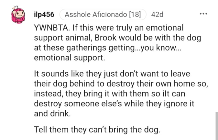 It Sounds Like They Just Don't Want to Leave Their Dog Behind to Destroy Their Own Home