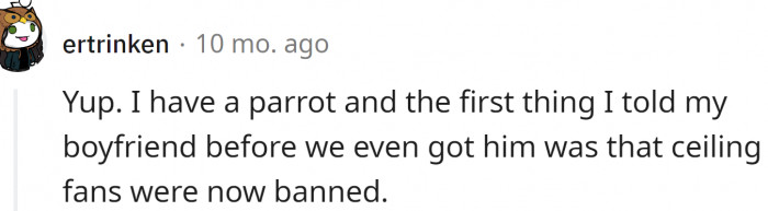 Ceiling fans are banned when birds are around