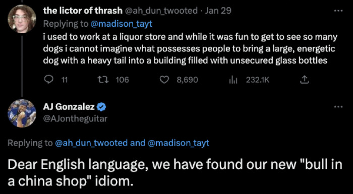 Dogs shouldn’t be everywhere. And they certainly shouldn’t be around unsecured glass bottles.