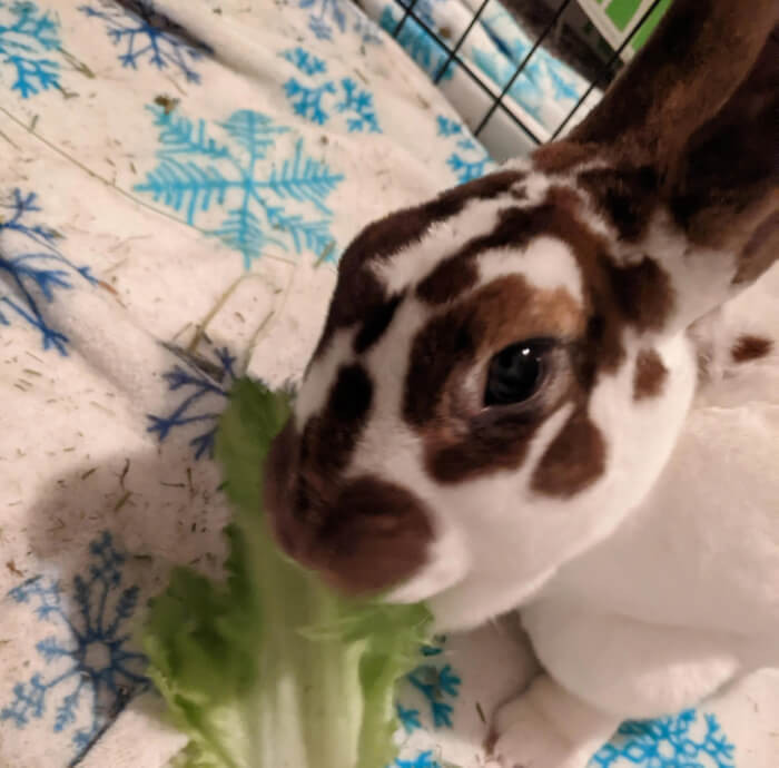 3. “This brave girl needs a name! Any thoughts for this ferocious little one?”