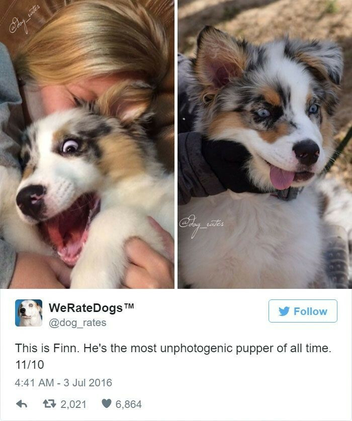 41. Finn will always be an interesting photography subject.