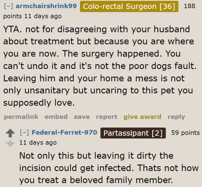 Redditors harshly criticized the original poster (OP), because a dog will always be a responsibility through the good times and the bad ones.