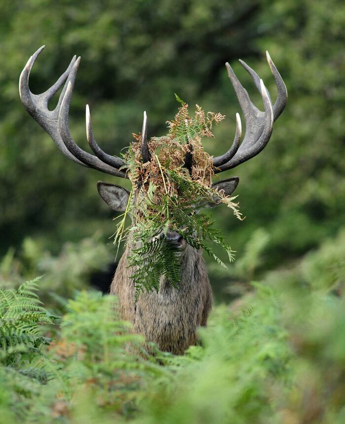 Anyone Asks... You Haven't Seen Me By William Richardson