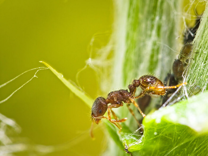 12. Just cleaning up because cleanliness is next to... You know the drill