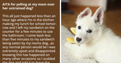 Angry Teen Vents Online About Her Mom's Dog Stealing Her Lunch - Again