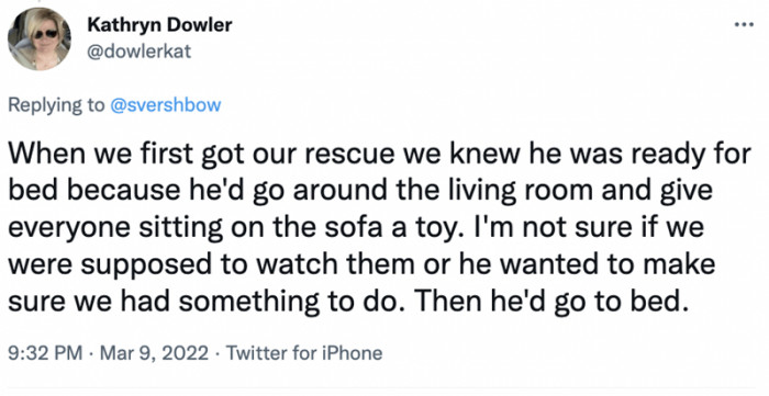 9. This dog chooses to hand everyone a toy and then heads to bed