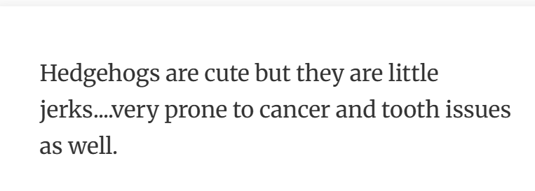 11. “They’ll steal your heart, then hiss at you for noticing.”