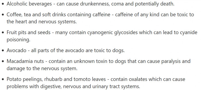 Warning signs about chocolate theobromine, grapes, raisins, and dairy dangers