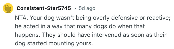 “They should have intervened as soon as their dog started mounting yours.”