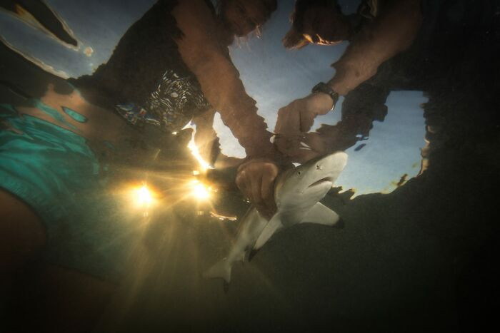 Finalist Human Connection Award: People & Planet Ocean 2022 - Tom Vierus