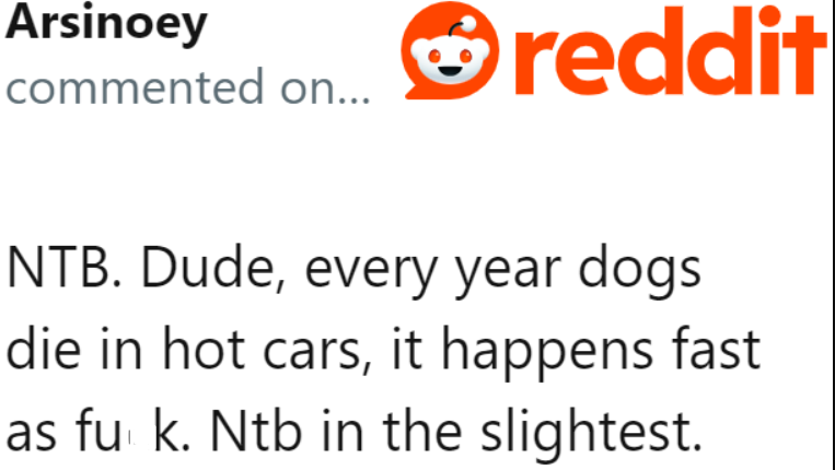 The OP Isn't the Buttface for Being Concerned. A Lot of Dogs Die from Heatstroke Inside the Car, So Her Worries Are Valid.