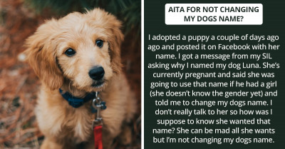 Witty Replies To An AITA Story About A Guy Not Wanting To Change His Dog's Name Will Make You Think, Laugh, And Cringe