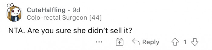 Reddit discussion comment about toxic family conflict between two sisters over a dog