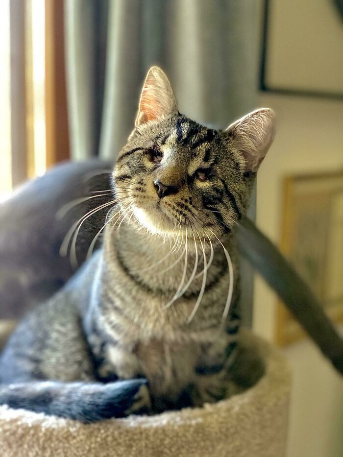 "What A Cutie"