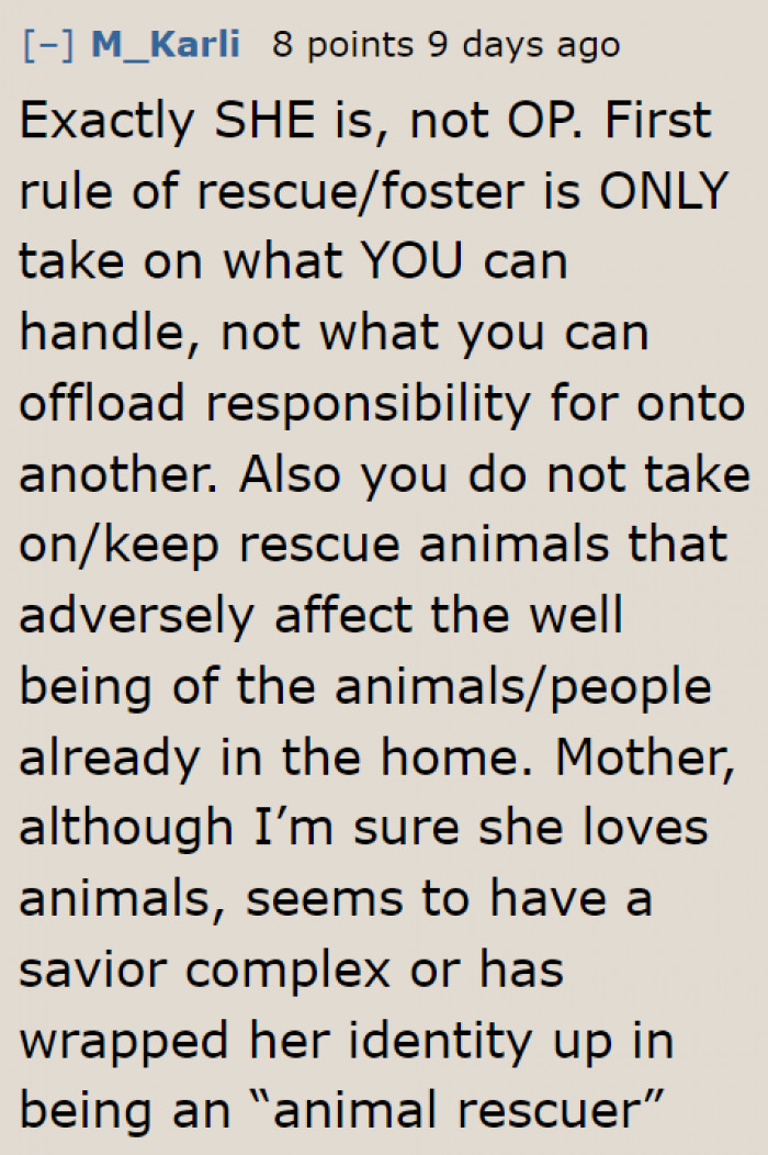 Of course, most people don't agree with taking another animal in with the OP and her mom's situation.
