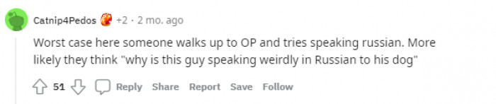 "More likely, they think, 'Why is this guy speaking weirdly in Russian to his dog?'"