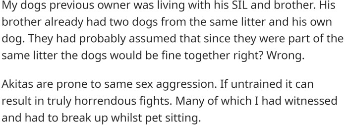 OP has a dog that he got from a friend. The dog's previous owner was living with his SIL and brother.