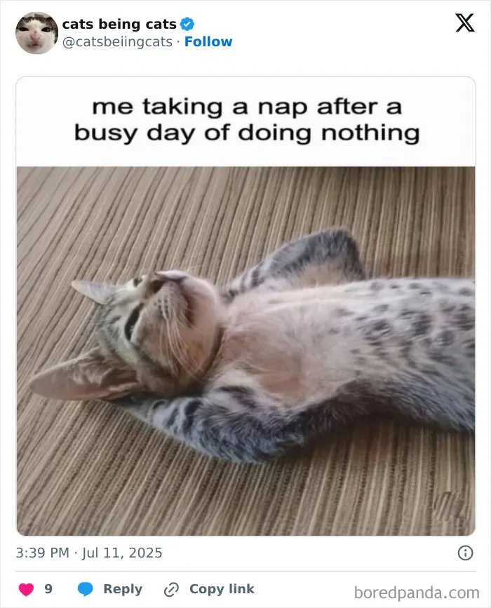 6. Hard work? No. Hard rest? Absolutely.