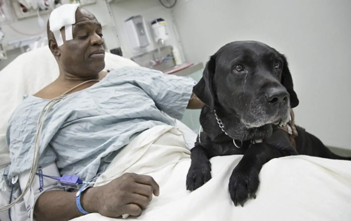 Fundraising page celebrating donations that help a blind man keep his guide dog