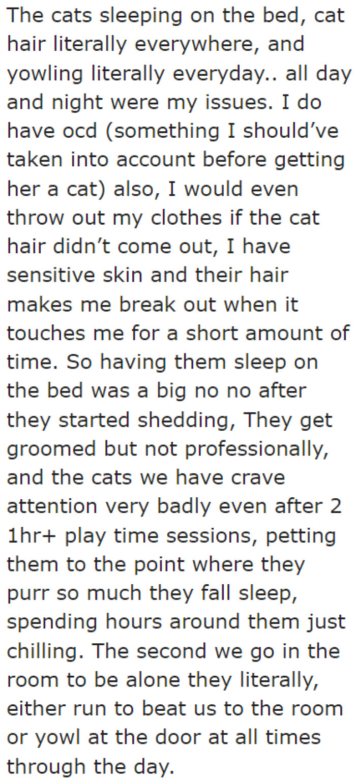 After a year, he realized that he couldn't stand having cats at home. He was experiencing physical and mental health issues due to the cats' behaviors.