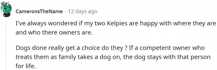 People also wonder if dogs are happy