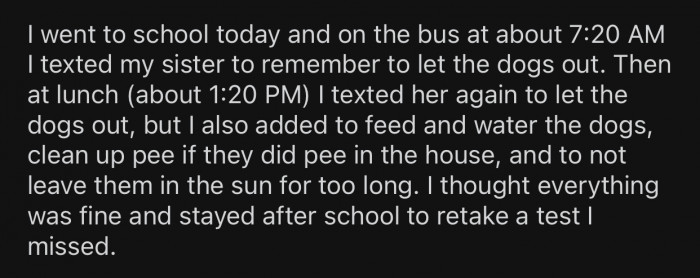 OP made sure to remind her sister twice to let the dogs out.