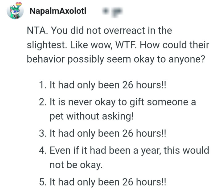 It's not okay to gift a pet without asking