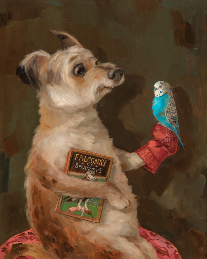 “Falconry For Beginners”