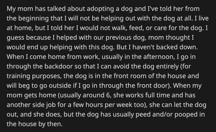She Said That Since OP Lives in Her House Rent-Free, the Least He Could Do Was Take the Dog Outside