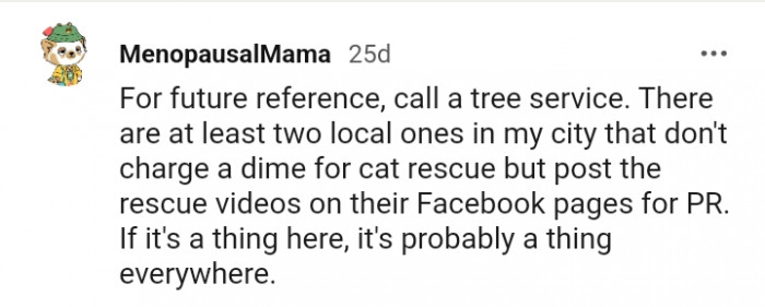 13. It's Probably a Thing Everywhere