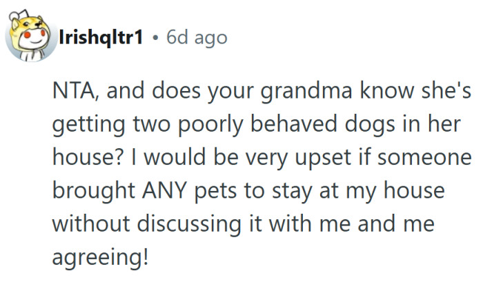 Because nothing says “Happy Thanksgiving, Nana” like two untrained dogs on her new rug.