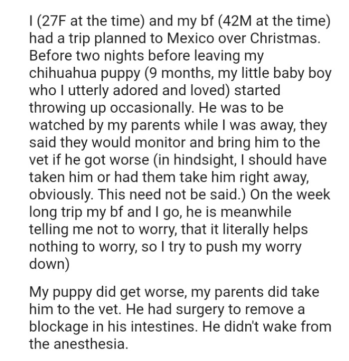 The dog was to be watched by the OP's parents while she was away