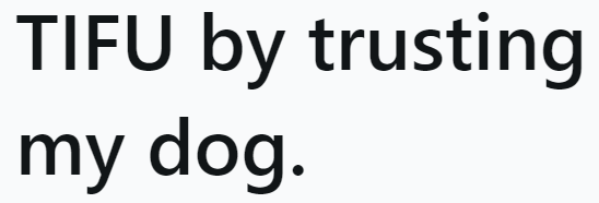 After what happened, the OP can't just leave her dog at home.