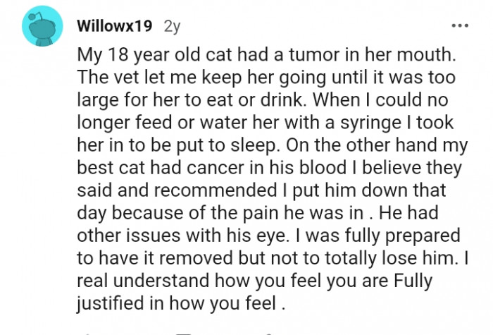 This Redditor put the cat down due to the pain he was in