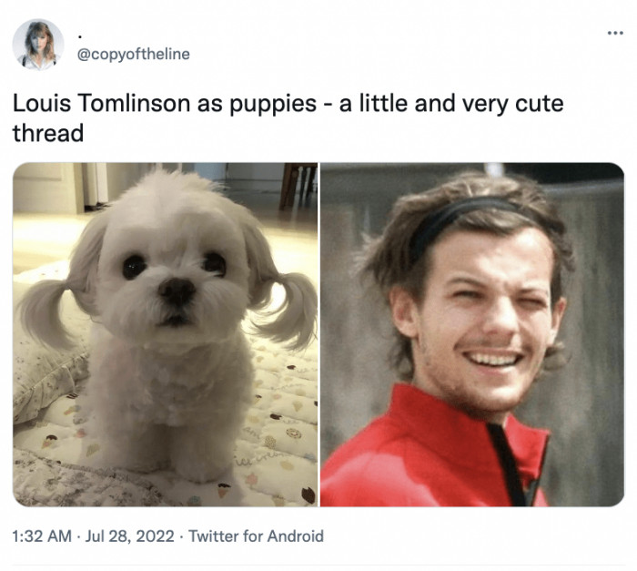 9. This fan was having a field day. Check out their thread!