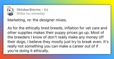 The Dog Breeding Market Is Getting Out of Hand, and We Want to Know Why