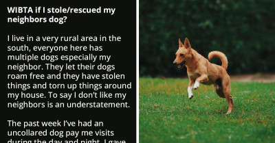 Redditor's Intention To Steal/ Rescue The Neighbor's Abused And Neglected Dog Gets Support Online