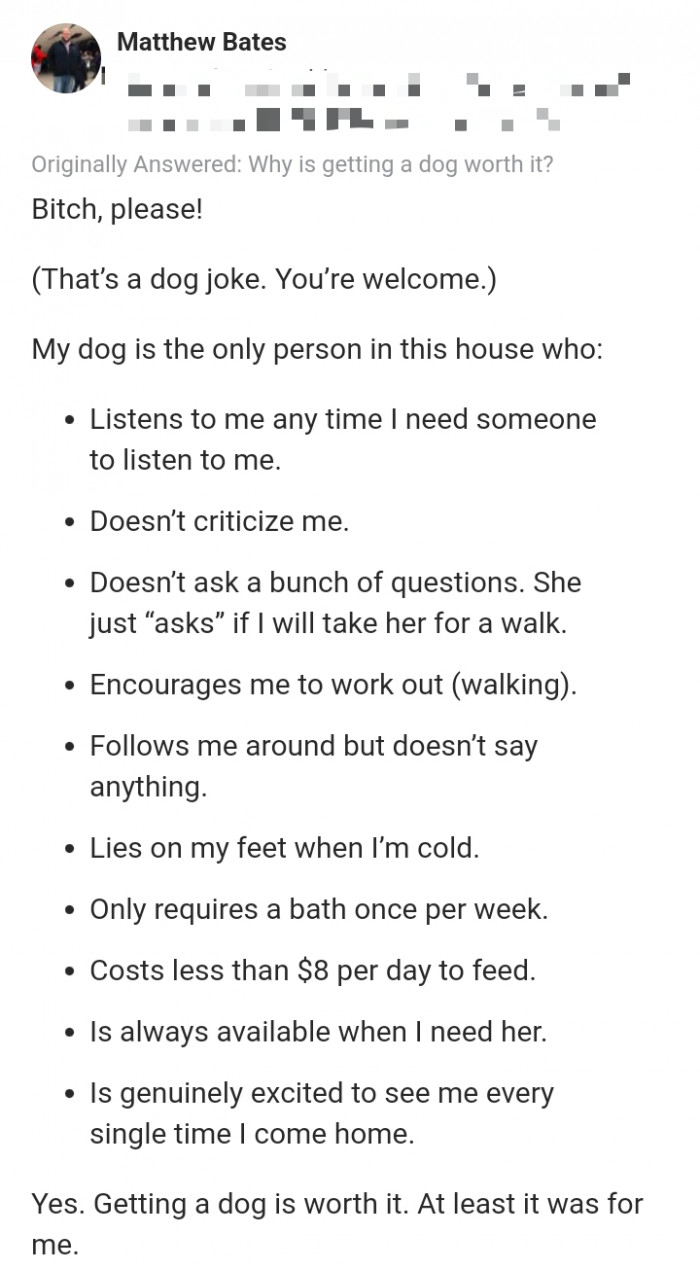 11. All about my dog