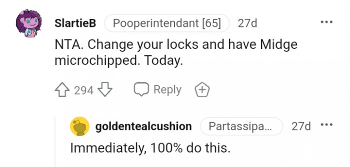 Have your cat microchipped