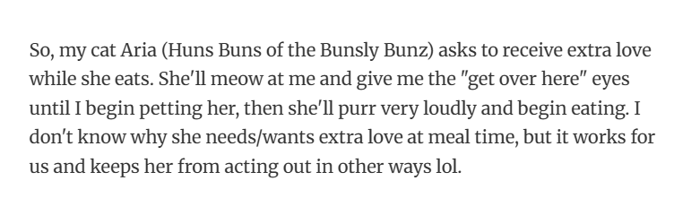 11. Some cats want kibble. Aria wants affection with a side of validation.