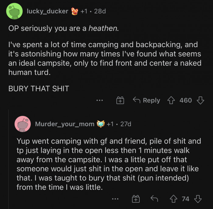 It's very inconsiderate and ruins the experience for other campers.