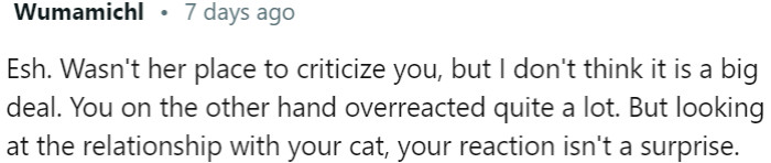 The aunt shouldn't have criticized, but OP overreacted due to her strong bond with the cat.