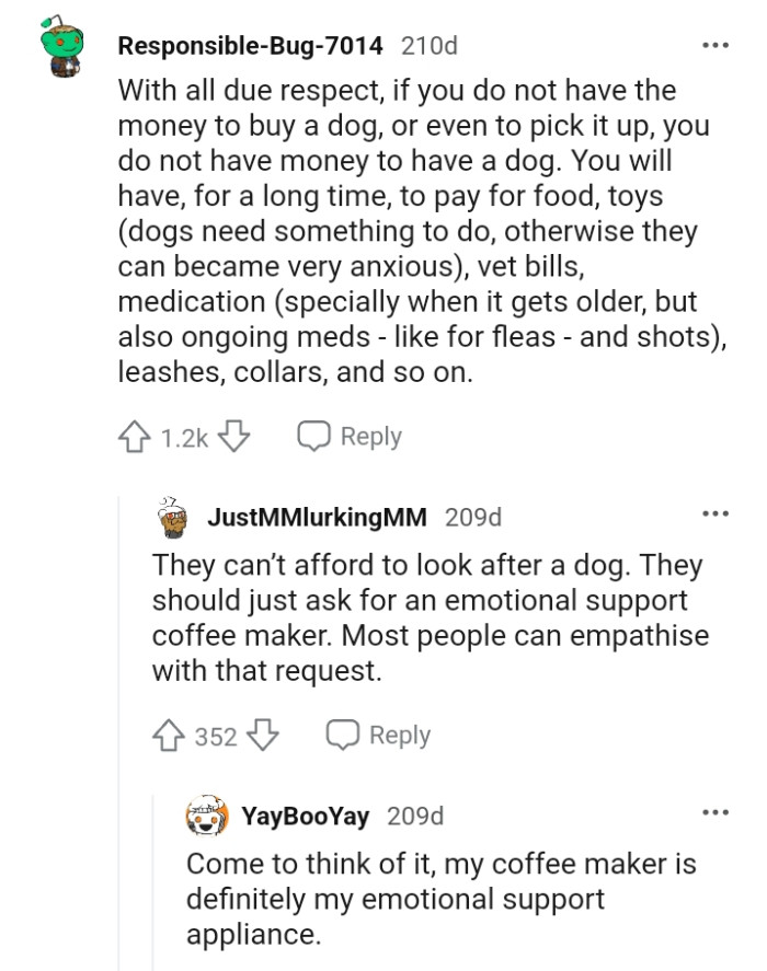 They can't afford to look after a dog