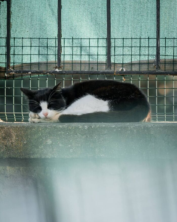 9. The sweetest napper.