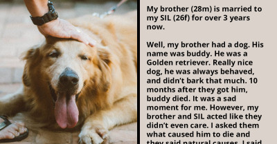 Guy Tells His Brother and SIL That They Shouldn't Have a Baby Since They Can't Take Care of a Dog