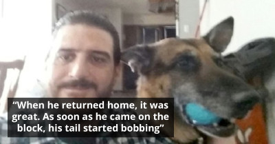 Man's Decision to Get a New Dog Leads Him to His Lost Dog Who Went Missing Over a Year Ago