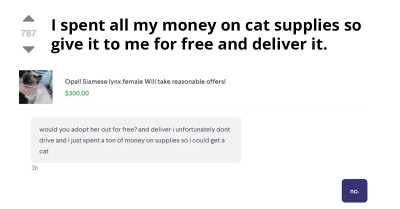 Woman Wants A Siamese Cat For Free; She Can't Afford It After Spending Money On Cat Supplies